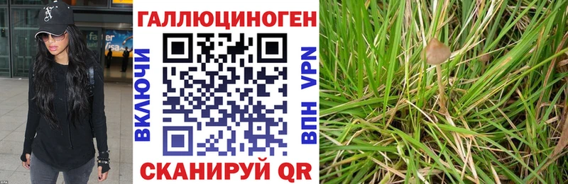 купить закладку  Щёлкино  Галлюциногенные грибы мицелий 